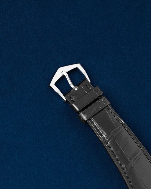 Patek Philippe Complications 5905P-010 Image 3